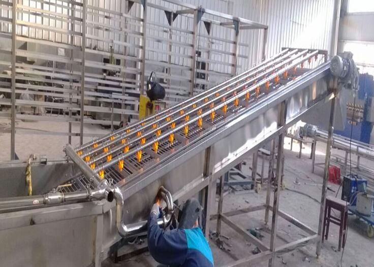 果蔬清洗機的分類有哪些？